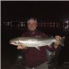 Image 9 : Salmon/Steelhead or Sturgeon Fishing for 1 or 2 people with JB's Killer Guide Service