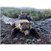 Image 5 : 10-day Alaska Grizzly Bear/Brown Bear and Wolf Combo with D&L Outfitters