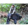 Image 5 : Idaho Black Bear Hunt with Yellow Wolf Adventures - Idaho Resident ONLY
