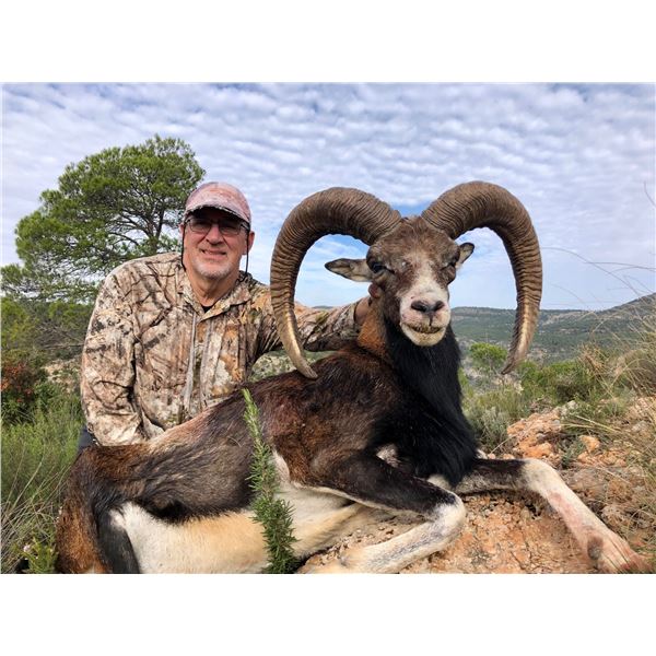 4-day Free Range Cantabrian Chamois or Mouflon Sheep Hunt in Spain with Eurohunts Spain