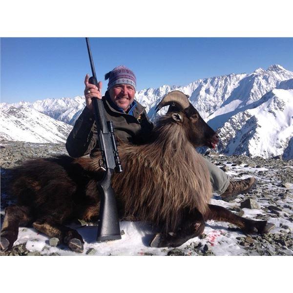 5-day New Zealand Bull Tahr Hunt with Southern Mountain Adventures