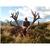 Image 5 : 5-day New Zealand Bull Tahr Hunt with Southern Mountain Adventures