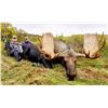 Image 11 : 10-day Alaska Yukon Moose Hunt for 1 Hunter in Northwest Alaska with Freelance Outdoor Adventures