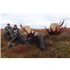 Image 3 : 10-day Alaska Yukon Moose Hunt for 1 Hunter in Northwest Alaska with Freelance Outdoor Adventures