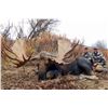 Image 8 : 10-day Alaska Yukon Moose Hunt for 1 Hunter in Northwest Alaska with Freelance Outdoor Adventures