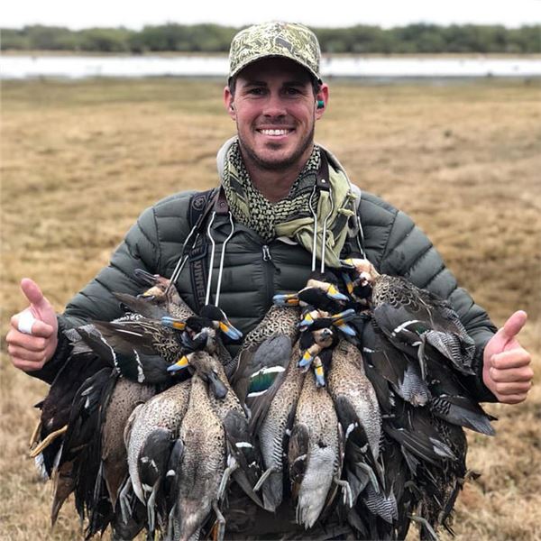 Argentina Dove, Dove   Pigeon or Golden 'Dorado' Fishing or, Dove   Duck Hunt