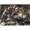 Image 10 : Muzzleloader Coues Deer and Mountain Lion Hunt for Two Hunters with Diamond Outfitters