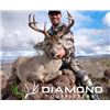 Image 1 : Muzzleloader Coues Deer and Mountain Lion Hunt for Two Hunters with Diamond Outfitters
