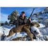 Image 5 : Muzzleloader Coues Deer and Mountain Lion Hunt for Two Hunters with Diamond Outfitters