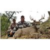 Image 8 : Muzzleloader Coues Deer and Mountain Lion Hunt for Two Hunters with Diamond Outfitters