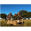 Image 3 : 5-day Argentina Black Buck and Patagonic Doreset Ram for Two Hunters with Catena Safaris Argentina