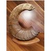 Image 1 : Wyo Backcountry Decor Horn Replica