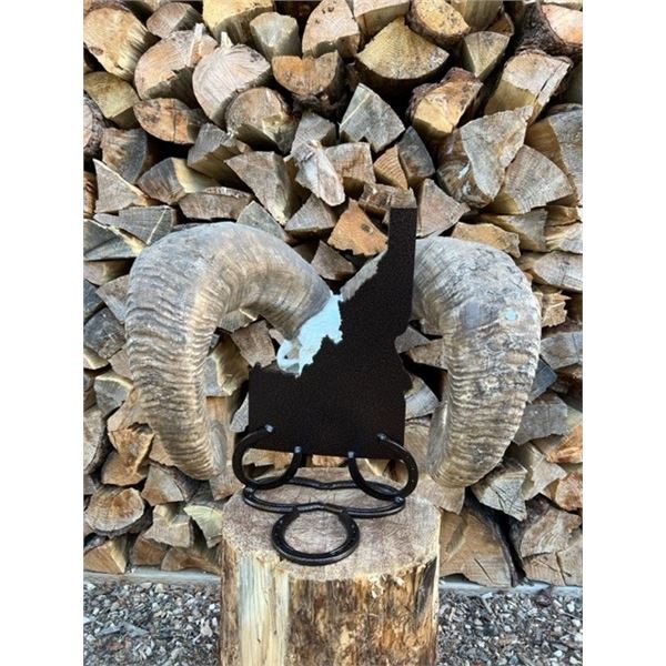 Idaho Custom Skull Hanger by Iron Mountain Skull Hangers