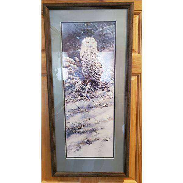 Snowy Owl Framed Print by Joel Garcia