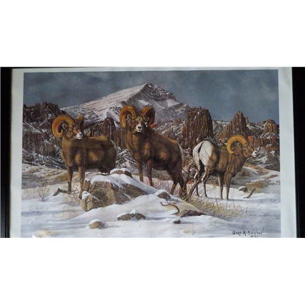 'North Fork Rams' Limited Edition Print by Gary Swanson, 1983