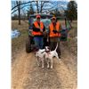 Image 3 : QUAIL HUNT FOR 2 (EAST TEXAS) W/ WILDCAT CREEK RANCH