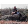 Image 8 : HOG HUNT FOR 1 (TEXAS PANHANDLE) W/ PLASKA LODGE