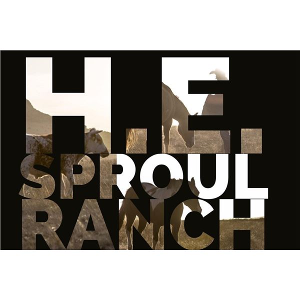 Sproul Ranch Hunting AOUDAD RAM
