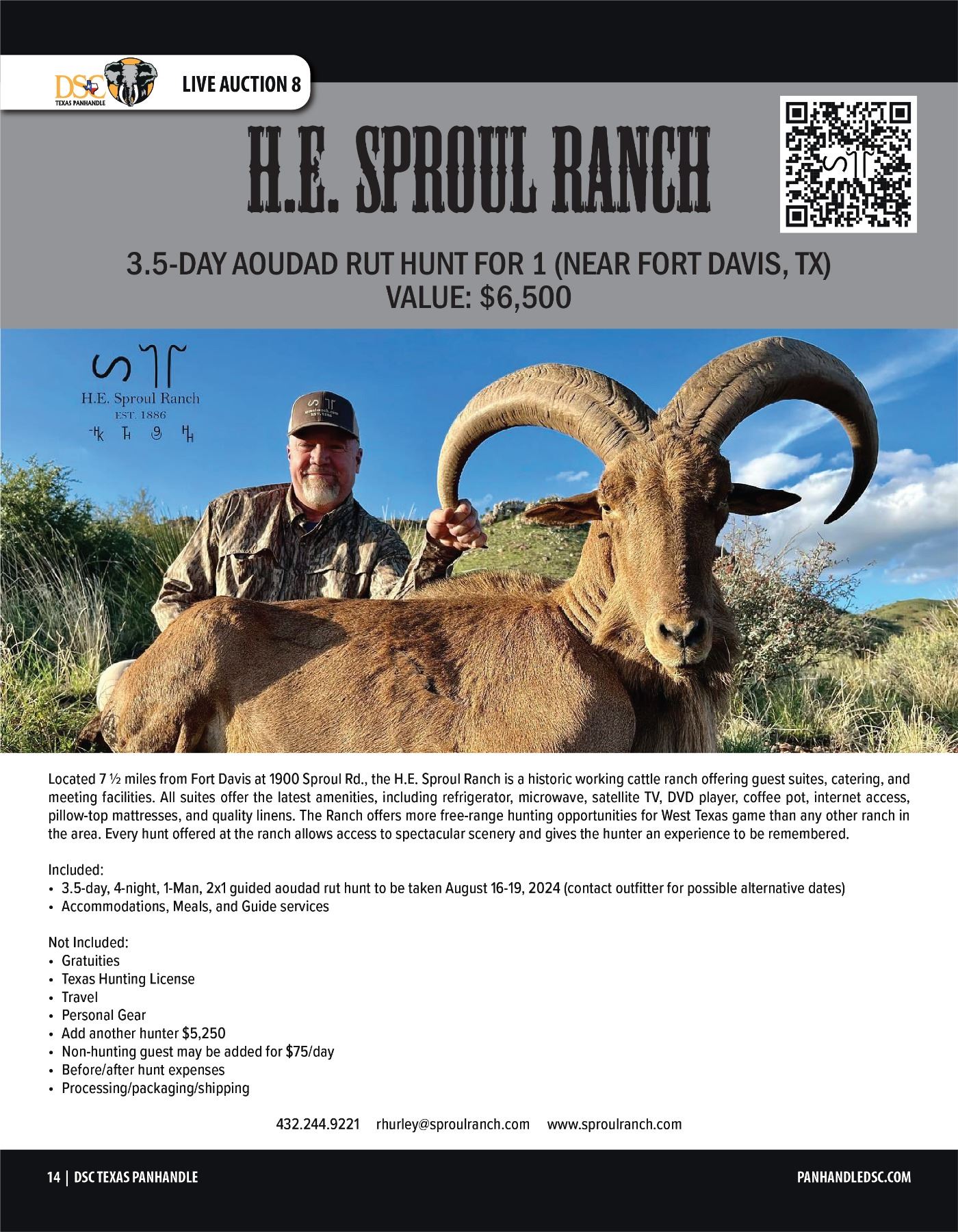 AOUDAD RAM