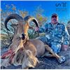 Image 3 : AOUDAD RAM "RUT" HUNT FOR 1 (NEAR FORT DAVIS, TX) W/ H.E. SPROUL RANCH