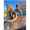 Image 4 : AOUDAD RAM "RUT" HUNT FOR 1 (NEAR FORT DAVIS, TX) W/ H.E. SPROUL RANCH