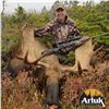 Image 6 : MOOSE & BLACK BEAR COMBO FOR 1 (NEWFOUNDLAND) W/ ARLUK OUTFITTERS