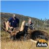 Image 7 : MOOSE & BLACK BEAR COMBO FOR 1 (NEWFOUNDLAND) W/ ARLUK OUTFITTERS