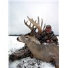 Image 5 : ALBERTA WHITETAIL, WOLF, COYOTE HUNT FOR 1 W/ NORTH RIVER OUTFITTING