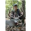 Image 5 : WHITETAIL DEER HUNT FOR 2 (TEXAS) W/ XTREME WHITETAIL ADVENTURES