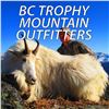 Image 1 : MOUNTAIN GOAT HUNT FOR 1 (BRITISH COLUMBIA) W/ BC TROPHY MOUNTAIN OUTFITTERS