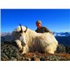 Image 5 : MOUNTAIN GOAT HUNT FOR 1 (BRITISH COLUMBIA) W/ BC TROPHY MOUNTAIN OUTFITTERS