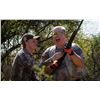Image 4 : ARGENTINA HIGH VOLUME DOVE HUNT FOR 4 W/ POINTER OUTFITTERS