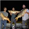 Image 7 : BOWFISHING FOR 4 (NEAR AUSTIN, TX) W/ HIGHLY SUSPECT BOWFISHING