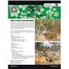 Image 2 : AXIS DEER HUNT FOR 1 (MAUI HAWAII) W/ HAWAII HUNTS