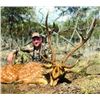 Image 3 : AXIS DEER HUNT FOR 1 (MAUI HAWAII) W/ HAWAII HUNTS