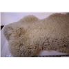 Image 2 : Lamb Skin
