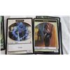 Image 3 : Lot Of Magic Cards - 100+