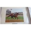 Image 2 : *Framed Secretariat Horse Racing picture - 24x28