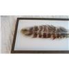 Image 2 : *Feather Wall Art
