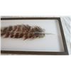 Image 3 : *Feather Wall Art