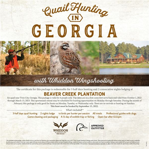 Georgia Quail Hunting for Four
