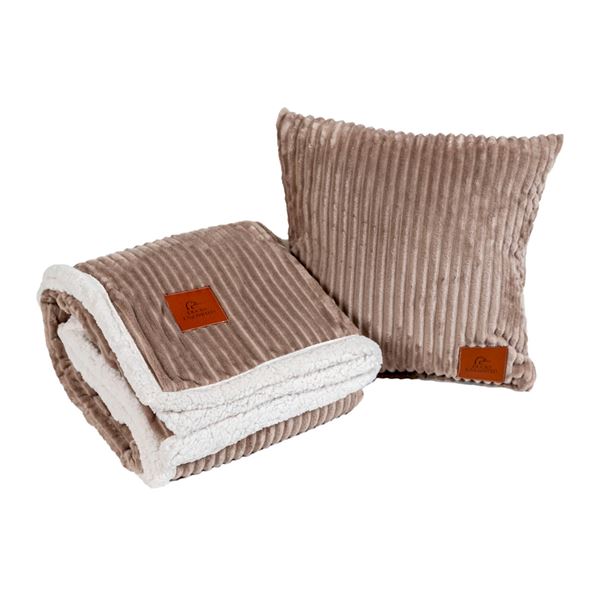 2 Piece Throw & Pillow Set