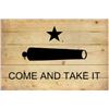 Image 1 : Come and Take It Wood Flag