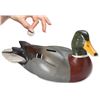 Image 1 : Mallard Decoy Bank