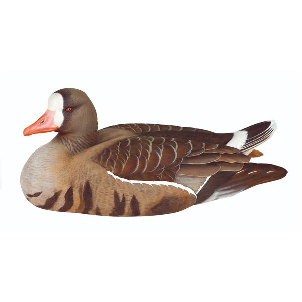 Jude Brunet White Fronted Goose Decoy