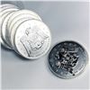 Image 2 : 2009 Canada Silver $5 Roll (10) - BU