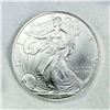Image 3 : 1996 Silver Eagle Dollar Roll (19) -