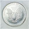 Image 4 : 1996 Silver Eagle Dollar Roll (19) -