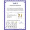 Image 2 : Genuine 10.30 ctw Amethyst & Pearl Earrings 14KT Yellow Gold - REF-56M7T