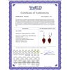 Image 2 : Genuine 26.1 ctw Ruby Earrings 14KT White Gold - REF-37T8A